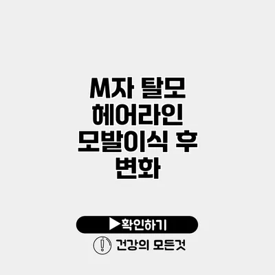 M자 탈모 헤어라인 모발이식 후 변화