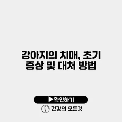 강아지의 치매, 초기 증상 및 대처 방법