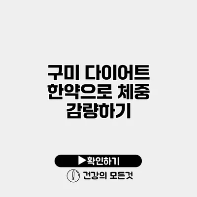 구미 다이어트 한약으로 체중 감량하기
