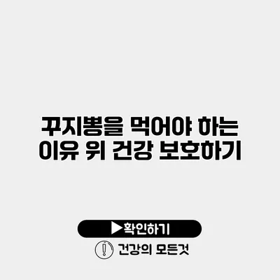 꾸지뽕을 먹어야 하는 이유 위 건강 보호하기