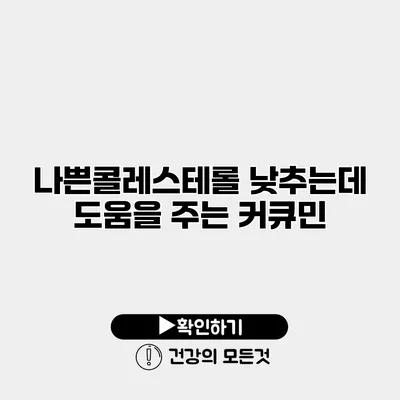 나쁜콜레스테롤 낮추는데 도움을 주는 커큐민