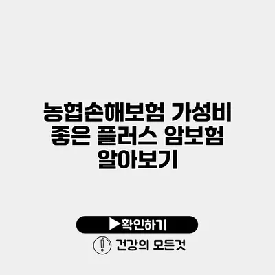 농협손해보험 가성비 좋은 플러스 암보험 알아보기