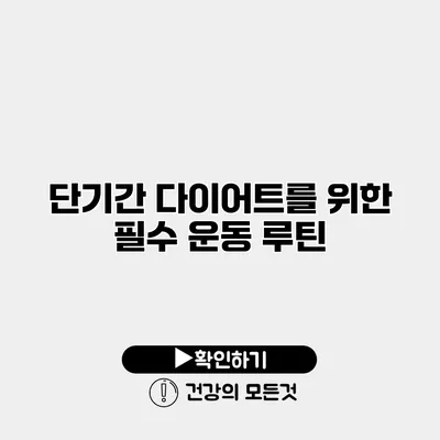 단기간 다이어트를 위한 필수 운동 루틴