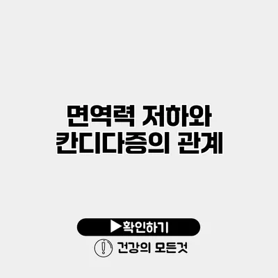 면역력 저하와 칸디다증의 관계