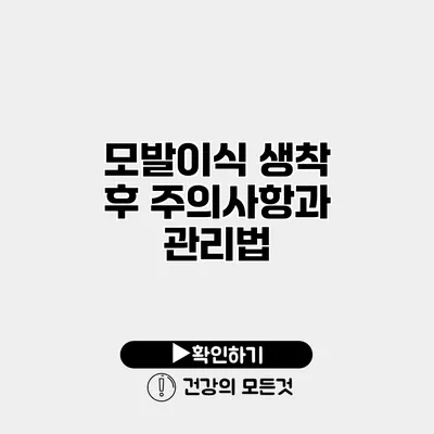 모발이식 생착 후 주의사항과 관리법