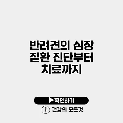 반려견의 심장 질환 진단부터 치료까지