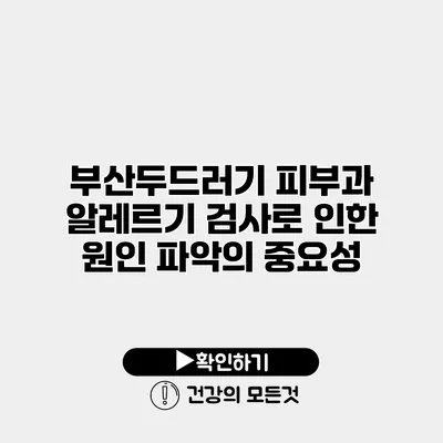 부산두드러기 피부과 알레르기 검사로 인한 원인 파악의 중요성