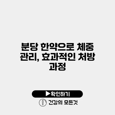 분당 한약으로 체중 관리, 효과적인 처방 과정