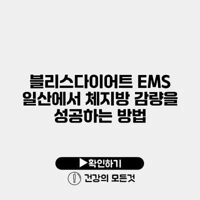 블리스다이어트 EMS 일산에서 체지방 감량을 성공하는 방법