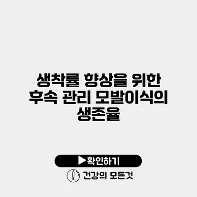 생착률 향상을 위한 후속 관리 모발이식의 생존율