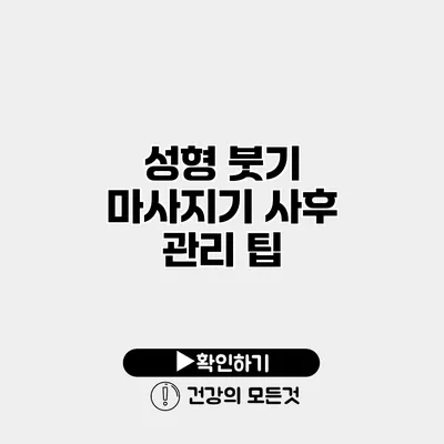 성형 붓기 마사지기 사후 관리 팁
