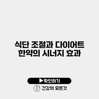 식단 조절과 다이어트 한약의 시너지 효과