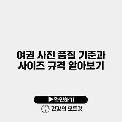 여권 사진 품질 기준과 사이즈 규격 알아보기