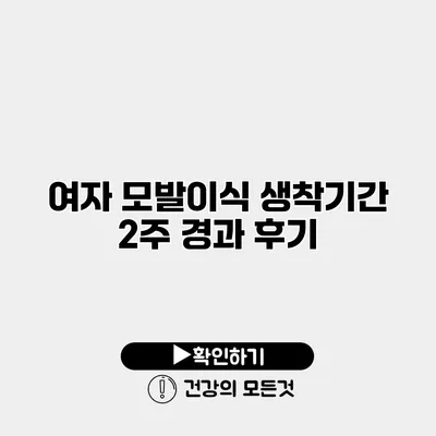 여자 모발이식 생착기간 2주 경과 후기
