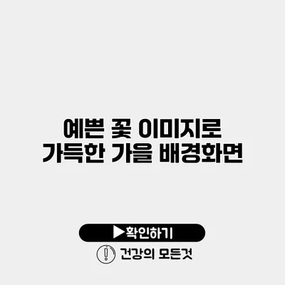 예쁜 꽃 이미지로 가득한 가을 배경화면