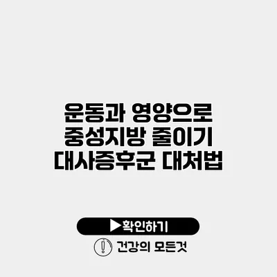 운동과 영양으로 중성지방 줄이기 대사증후군 대처법