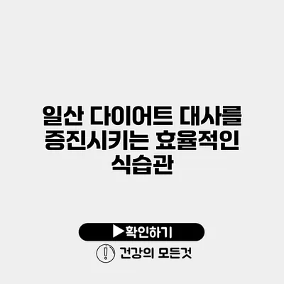 일산 다이어트 대사를 증진시키는 효율적인 식습관