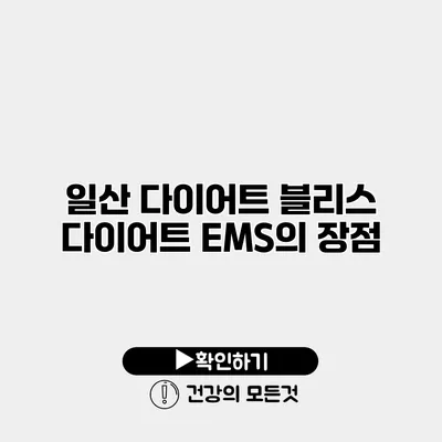 일산 다이어트 블리스 다이어트 EMS의 장점