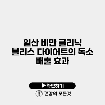 일산 비만 클리닉 블리스 다이어트의 독소 배출 효과