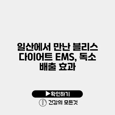 일산에서 만난 블리스 다이어트 EMS, 독소 배출 효과