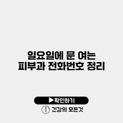 일요일에 문 여는 피부과 전화번호 정리
