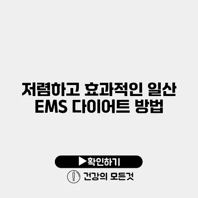 저렴하고 효과적인 일산 EMS 다이어트 방법