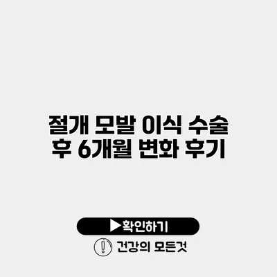 절개 모발 이식 수술 후 6개월 변화 후기