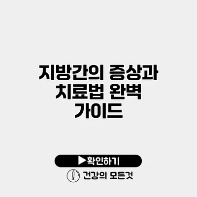 지방간의 증상과 치료법 완벽 가이드