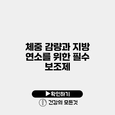 체중 감량과 지방 연소를 위한 필수 보조제