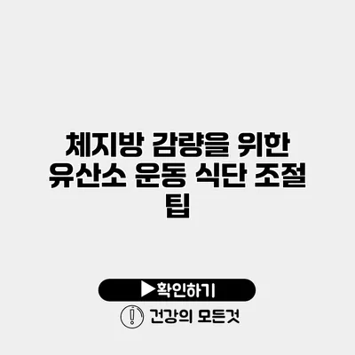 체지방 감량을 위한 유산소 운동 식단 조절 팁