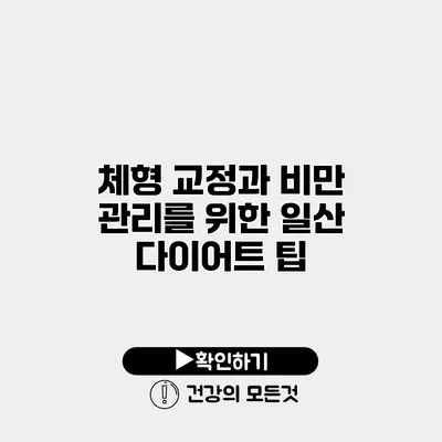 체형 교정과 비만 관리를 위한 일산 다이어트 팁