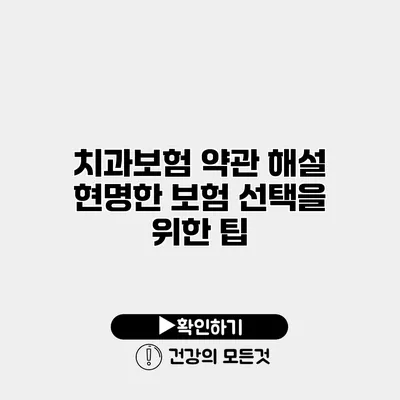 치과보험 약관 해설 현명한 보험 선택을 위한 팁