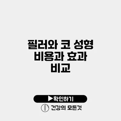 필러와 코 성형 비용과 효과 비교