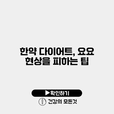한약 다이어트, 요요 현상을 피하는 팁