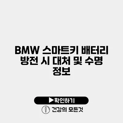 BMW 스마트키 배터리 방전 시 대처 및 수명 정보