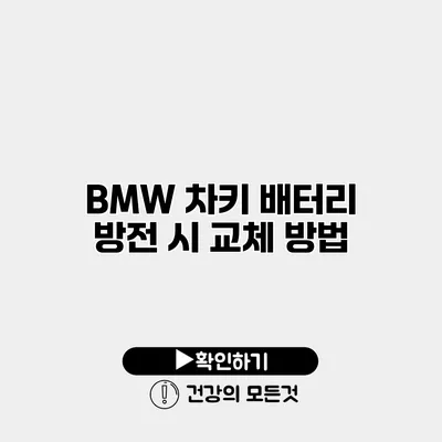 BMW 차키 배터리 방전 시 교체 방법