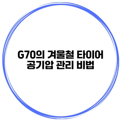 G70의 겨울철 타이어 공기압 관리 비법