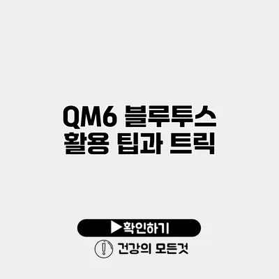 QM6 블루투스 활용 팁과 트릭