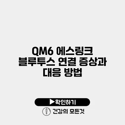 QM6 에스링크 블루투스 연결 증상과 대응 방법