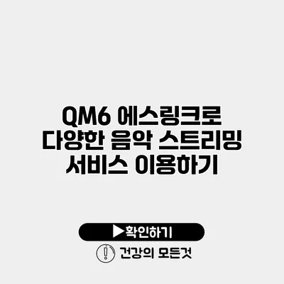 QM6 에스링크로 다양한 음악 스트리밍 서비스 이용하기