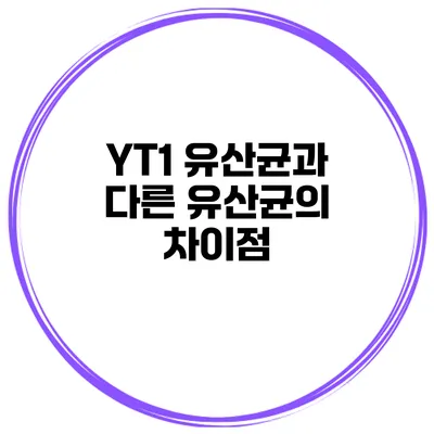 YT1 유산균과 다른 유산균의 차이점