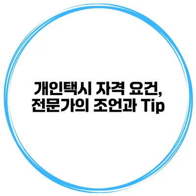 개인택시 자격 요건, 전문가의 조언과 Tip