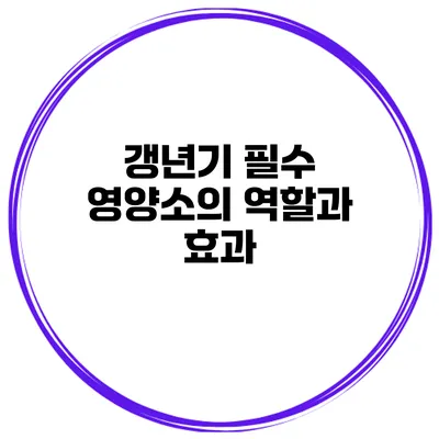 갱년기 필수 영양소의 역할과 효과