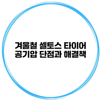 겨울철 셀토스 타이어 공기압 단점과 해결책
