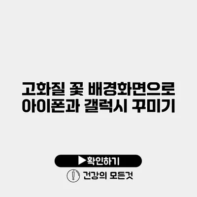 고화질 꽃 배경화면으로 아이폰과 갤럭시 꾸미기
