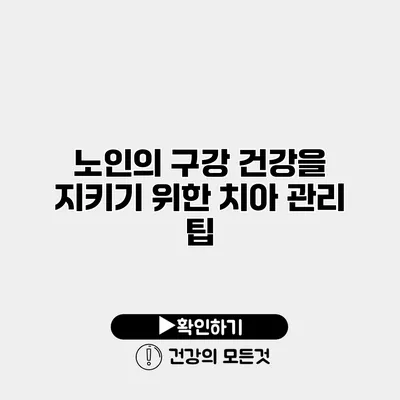 노인의 구강 건강을 지키기 위한 치아 관리 팁