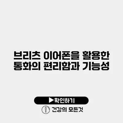 브리츠 이어폰을 활용한 통화의 편리함과 기능성