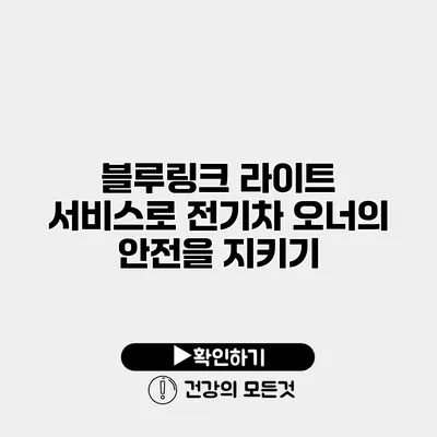 블루링크 라이트 서비스로 전기차 오너의 안전을 지키기