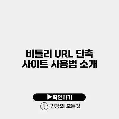 비틀리 URL 단축 사이트 사용법 소개