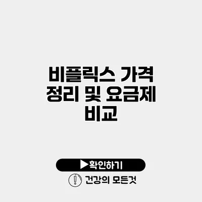 비플릭스 가격 정리 및 요금제 비교